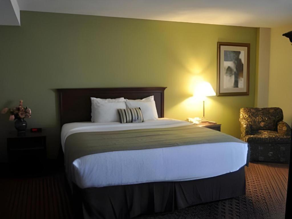 Garden Plaza Hotel 萨德尔布鲁克 外观 照片