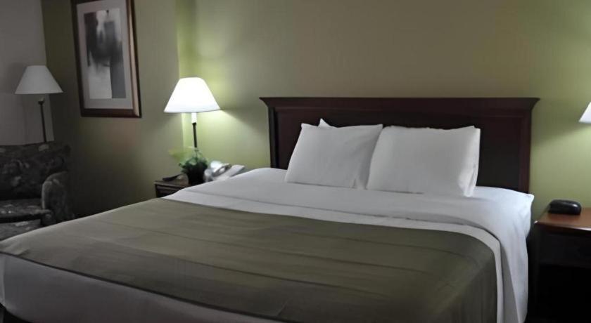 Garden Plaza Hotel 萨德尔布鲁克 外观 照片