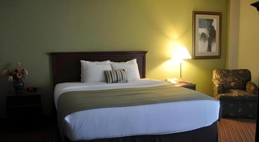 Garden Plaza Hotel 萨德尔布鲁克 外观 照片